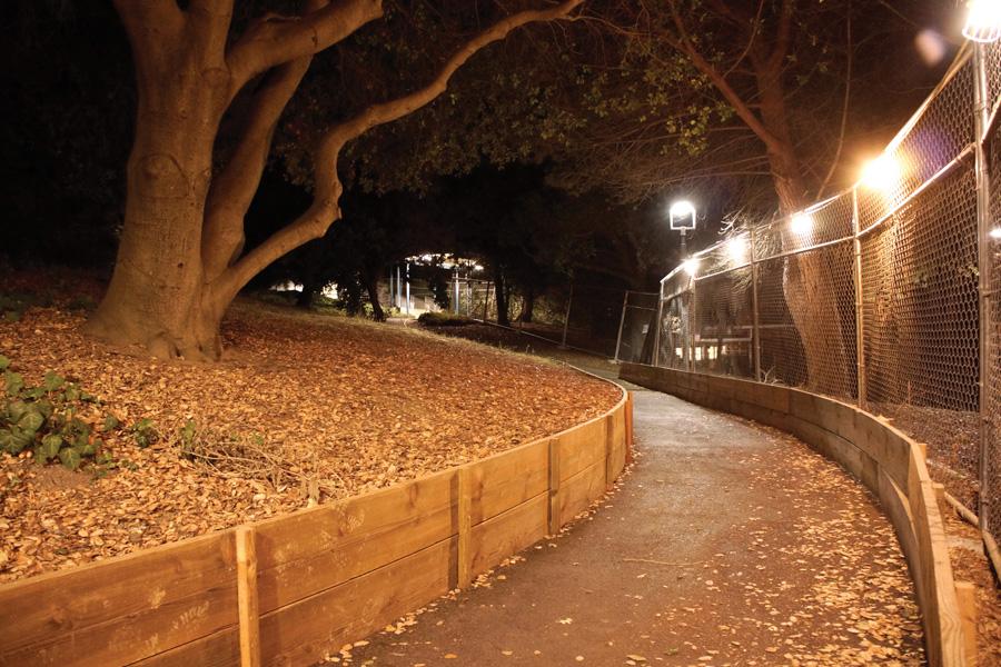 Light installation give students safer walking path 