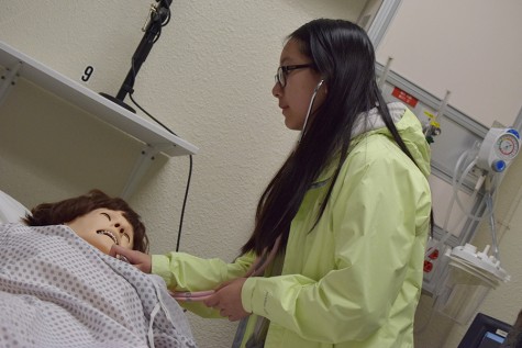Health academy students stimulate interests