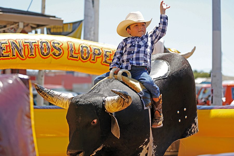El Sobrante resident Juan Lopez rides a mechanical bull provided by Eventos Lopez at the Cinco de Mayo Festival on 23rd Street in Richmond on Sunday.