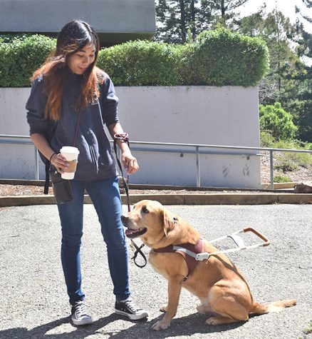 Golden retriever Oscar helps psychology major Michelle Yoo as her guide due to Yoo’s partial blindness. Yoo requested a service dog at the Disabled Students’ Programs and Services Office on campus.