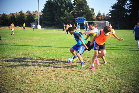 Comets set to defend title, advance further