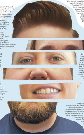 Societal swirl of inclusion
