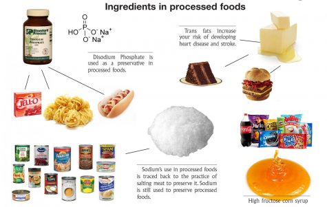 U.S. obsessed with processed food