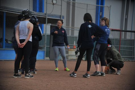 Softball team folds after losing players