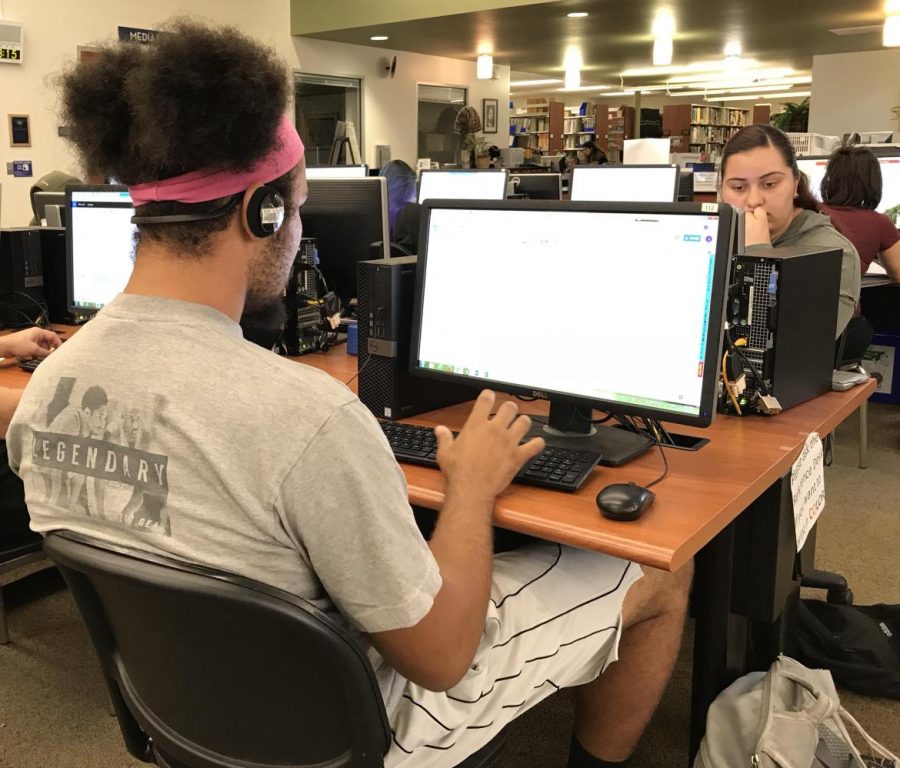 Behavioral
science major James Gerasty (left) and nursing major Yelitza Norzagara (right)
work on the 
computers in the Library and Learning Resource Center.