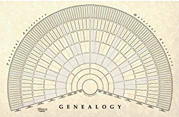 Ancestry DNA results generate inner conflict