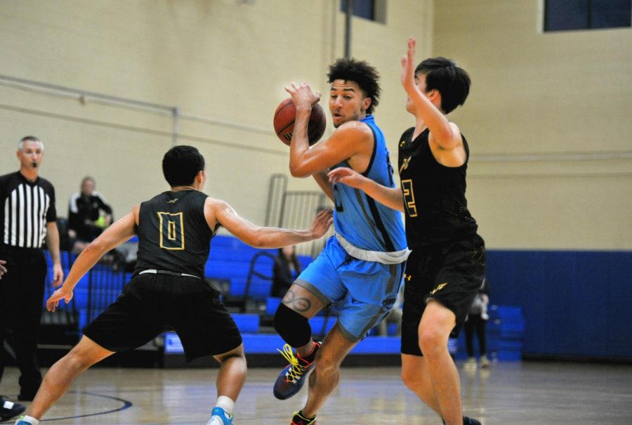 Contra Costa College forward Sam Johannessen dribbles in between
two Napa Valley College players during Napa’s 68-63 win at the Police Activities League gym in Richmond on Feb. 12. 