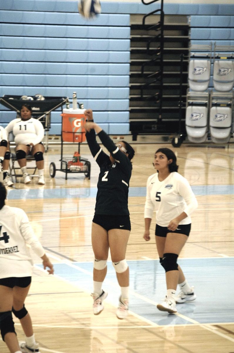 Contra Costa Comet player no#. 2, Jilliane Magpantay LB, sets the ball up, for teammate no#. 5, Isabel Fernandez RS, to make the scores.    

San Pablo Ca 18 October 2023, Contra Costa College, Women’s Volleyball vs. Los Medanos College