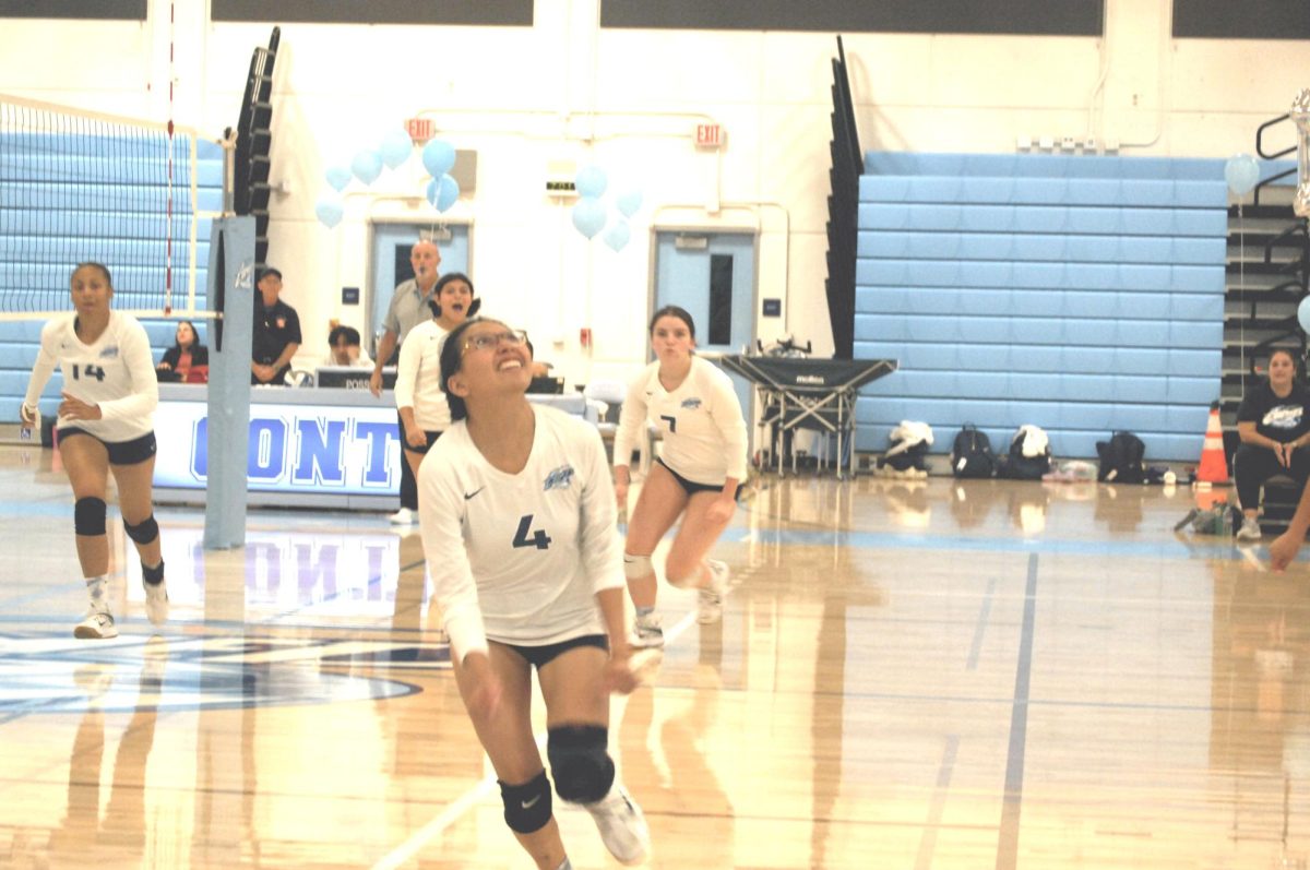 Contra Costa Comet player no#. 4, OH/Oppo Ashley Gutierrez, positions herself for the save.  

San Pablo Ca 08 November 2023, Contra Costa College, Women’s Volleyball  vs College of Marin