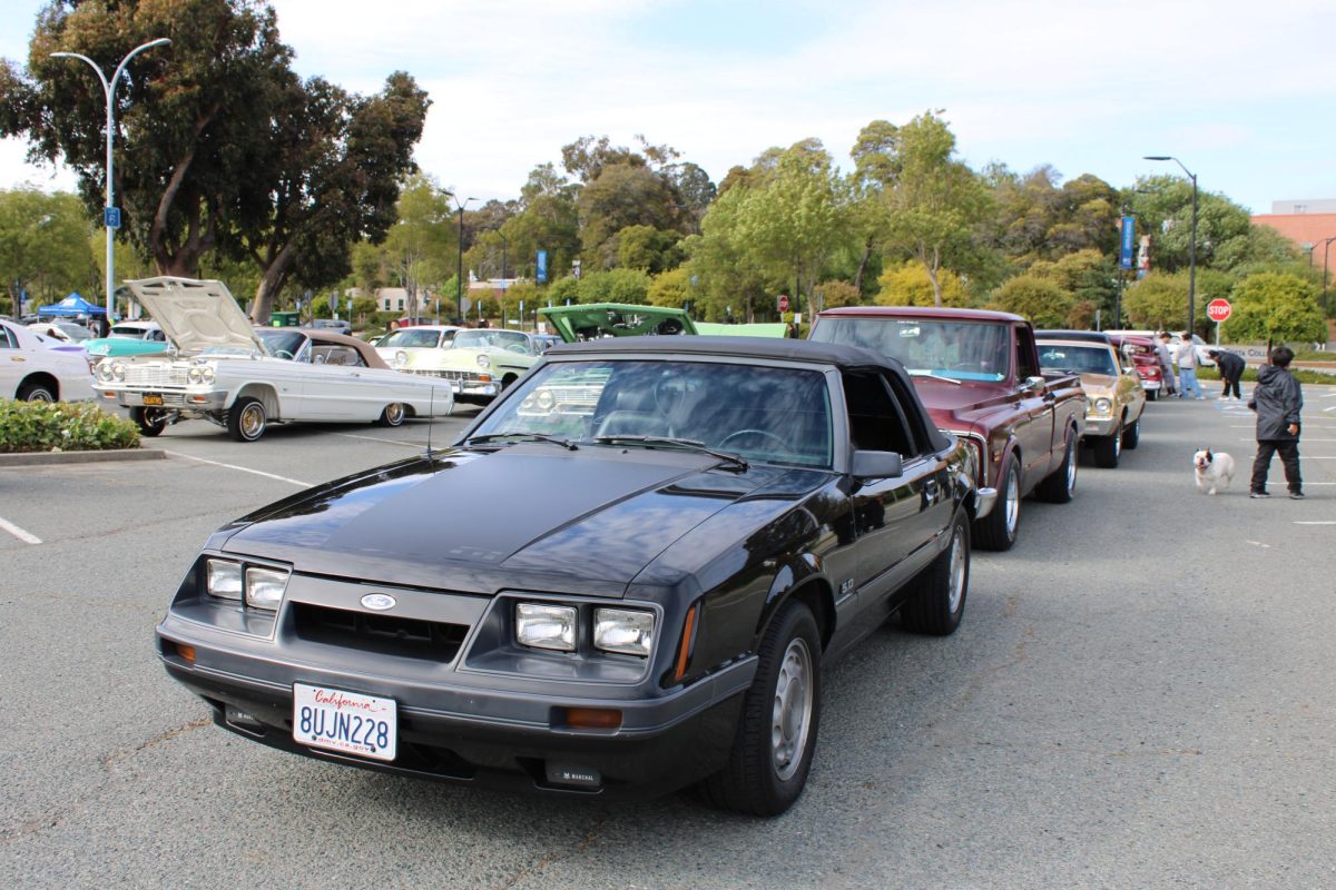   Black Ford  Foxbody 