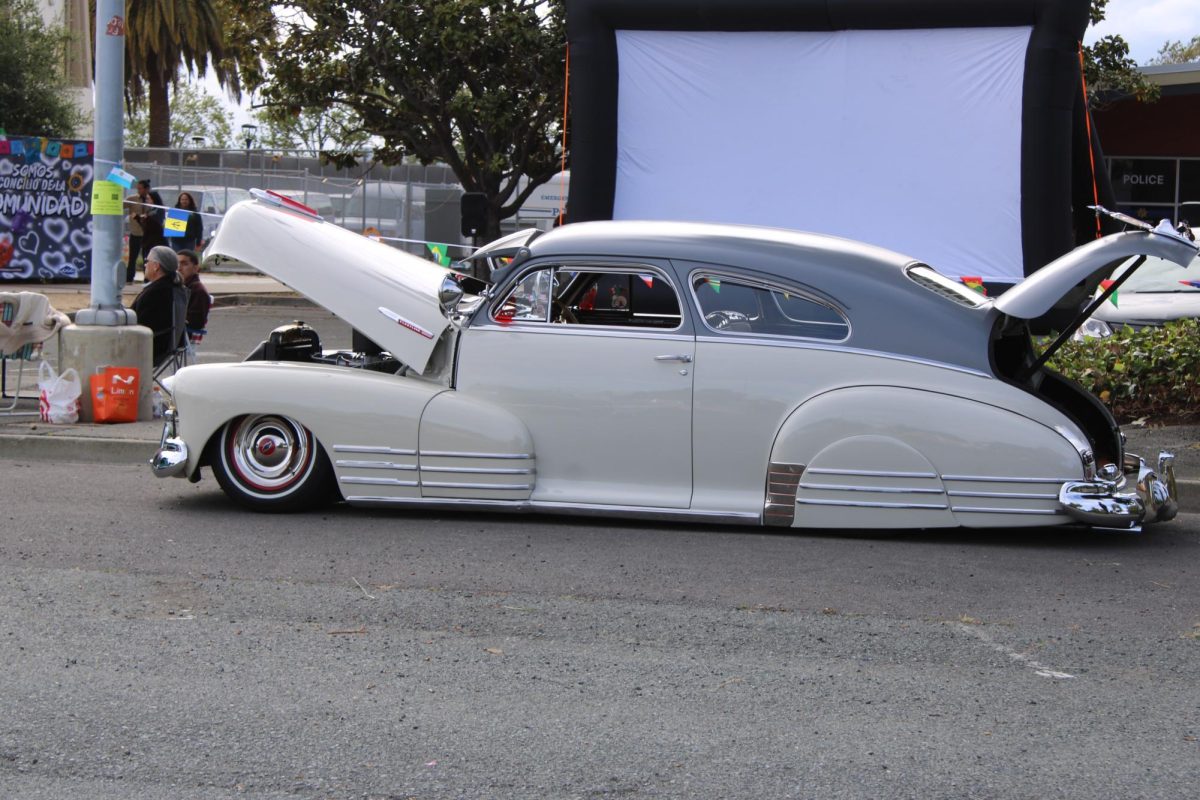 white with gray fleetmaster 