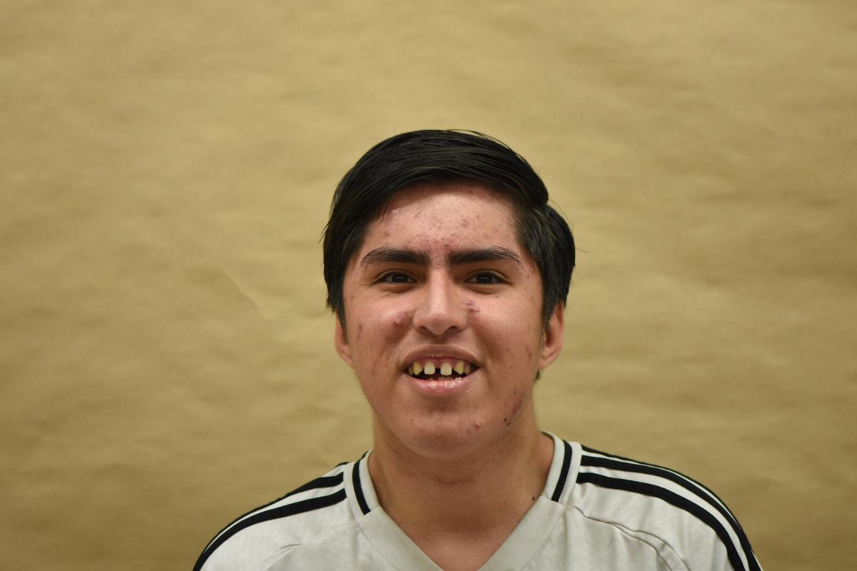 Angel Orellana