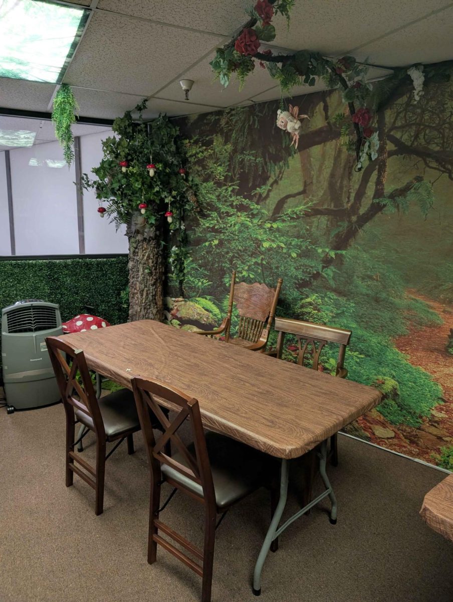 An upstairs play area decorated like a faerie grove provides a warm place for the various trading card game tournaments hosted by Ember Rest.
